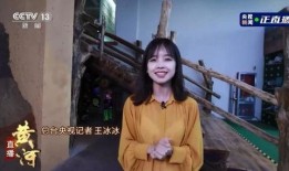 天涯爆料王冰冰视频合集,天涯爆料视频合集深度解析